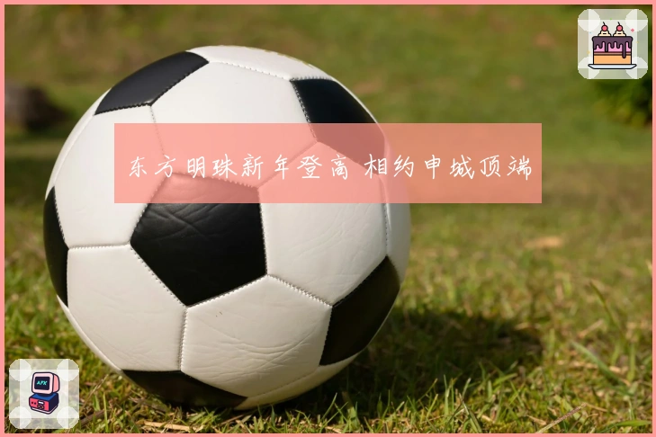 东方明珠新年登高 相约申城顶端