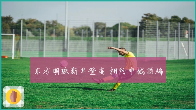 东方明珠新年登高 相约申城顶端