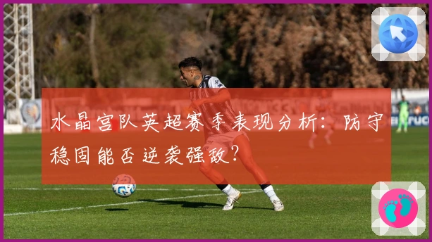 水晶宫队英超赛季表现分析：防守稳固能否逆袭强敌？