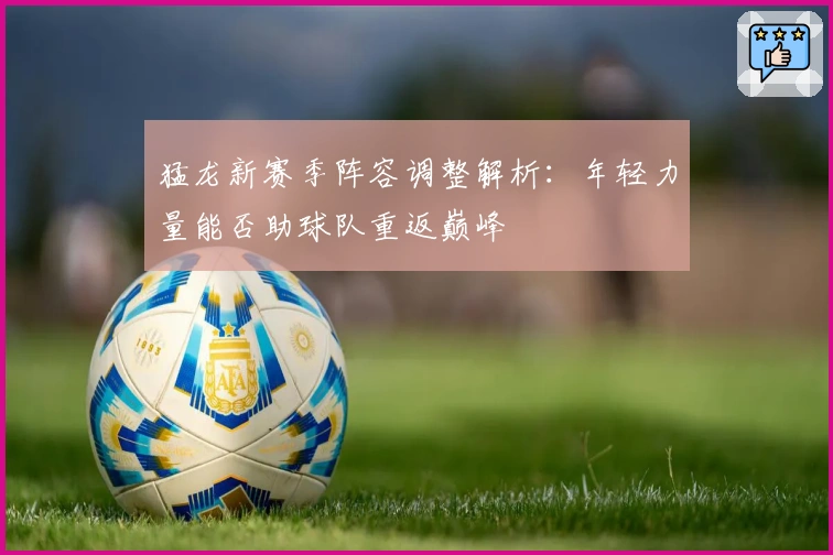 猛龙新赛季阵容调整解析：年轻力量能否助球队重返巅峰