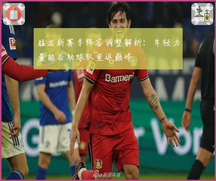 猛龙新赛季阵容调整解析：年轻力量能否助球队重返巅峰